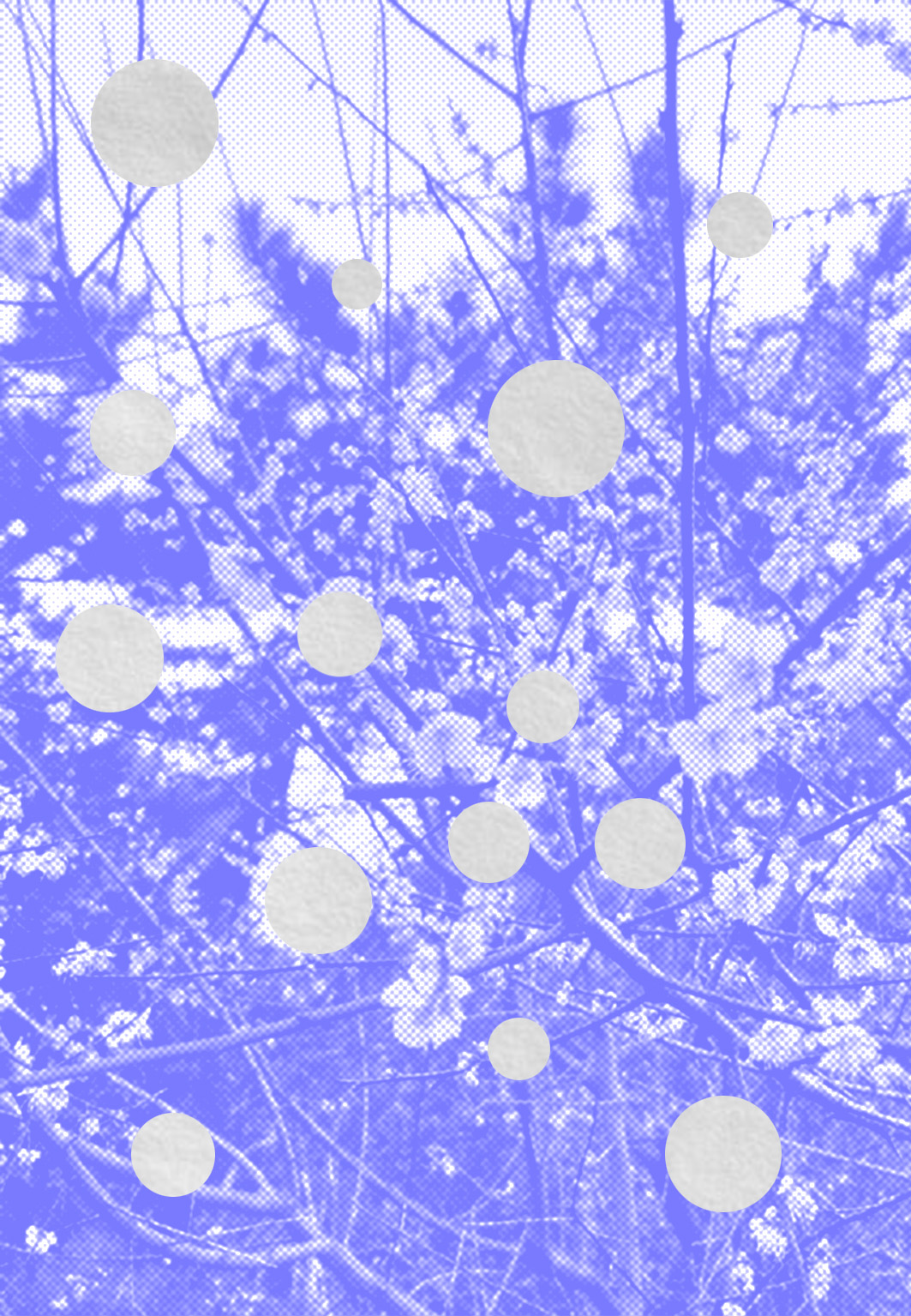 Zine 1
